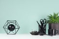 Home interior - workplace with black stationery, green house plant, coffee cup, aloe plant, abstract atom model in green mint.