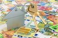 Home key with keychain on the euro background, 3D rendering Royalty Free Stock Photo