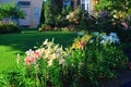 Home Landscaping Royalty Free Stock Photo