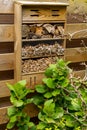 Home made bee hotel, in Dutch garden, mounted on a typical wooden garden fence. Bee hotels are places for solitary bees to make Royalty Free Stock Photo