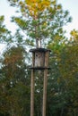 home made bird nesting box made out a wooden industrial wire spool up high on wooden 16 foot 4 x 4 posts