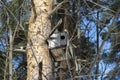 Bird house on tree Royalty Free Stock Photo