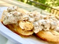 Home-Made Biscuits with Sausage Gravy Royalty Free Stock Photo