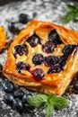 Home-made Blueberry Danish Royalty Free Stock Photo