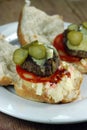 Home made burgers Royalty Free Stock Photo