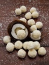 Home made candies with coconut Royalty Free Stock Photo