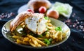 Home made chicken burger with delicious french fries Royalty Free Stock Photo