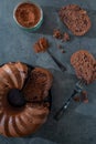 Home made Chocolate covered pumpkin bundt cake Royalty Free Stock Photo