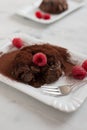 Home made Chocolate lava cake Molten Royalty Free Stock Photo