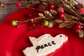 Home made Christmas cookie on red plate Royalty Free Stock Photo