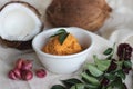 Home made coconut chutney with red chilly to go with dosa and idly, a main south Indian dish Royalty Free Stock Photo