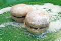 Home made cookies. Cookies with jam and white sugar. Royalty Free Stock Photo