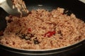 Home made cooking of fried jasmine rice with shrimp paste. Royalty Free Stock Photo