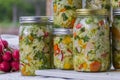 Home made cultured or fermented vegetables Royalty Free Stock Photo