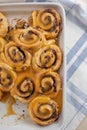 Home made Delicious freshly baked cinnamon roll Royalty Free Stock Photo