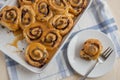 Home made Delicious freshly baked cinnamon roll Royalty Free Stock Photo