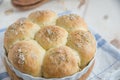 Home made dinner rolls Royalty Free Stock Photo