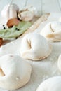 Home made dumplings Royalty Free Stock Photo