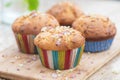 Four elderflower muffins in colourful cases