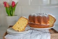 Freshly baked curd cheese gugelhupf with powdered sugar Royalty Free Stock Photo