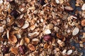 Home made Gluten Free Granola with Hazelnuts, Oats, Almond Royalty Free Stock Photo