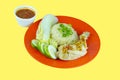 Home made Hainanese Chicken Rice on a red plate with steamed Chicken with with vegetables. Royalty Free Stock Photo