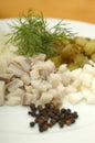 Home made herrings salad Royalty Free Stock Photo