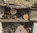 Detail of homemade insect hotel decorative bug house from sandstone and wood, ladybird and bee home for butterfly hibernation and Royalty Free Stock Photo