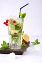 Home made mojito cocktail with lemon, lime, mint leaves, with ice and red currant Royalty Free Stock Photo