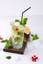 Mint leaves, with ice and red currant Royalty Free Stock Photo
