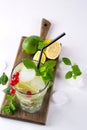 Home made mojito cocktail with lemon, lime, mint leaves, with ice and red currant . Summer drink Royalty Free Stock Photo