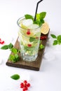 Home made mojito cocktail with lemon, lime, mint leaves, with ice and red currant . Summer drink Royalty Free Stock Photo