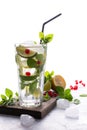 Home made mojito cocktail with lemon, lime, mint leaves, with ice and red currant . Summer drink Royalty Free Stock Photo