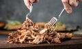 Home made pulled pork ready to be eaten. Royalty Free Stock Photo