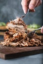Home made pulled pork ready to be eaten. Royalty Free Stock Photo