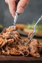 Home made pulled pork ready to be eaten. Royalty Free Stock Photo