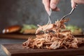 Home made pulled pork ready to be eaten. Royalty Free Stock Photo