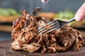 Home made pulled pork ready to be eaten. Royalty Free Stock Photo