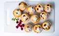 Home made raspberry muffins Royalty Free Stock Photo