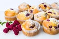 Home made raspberry muffins Royalty Free Stock Photo