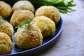Home made rice italian style Croquette.Arancini with runa fish Royalty Free Stock Photo