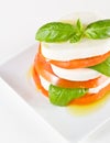 Fresh mozzarella and tomato salad