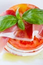 Fresh mozzarella and tomato salad