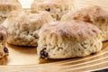 Home made scones on a plate Royalty Free Stock Photo
