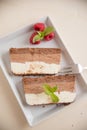 Home made semifreddo ice cream Royalty Free Stock Photo