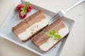 Home made semifreddo ice cream Royalty Free Stock Photo