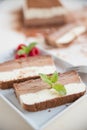 Home made semifreddo ice cream Royalty Free Stock Photo