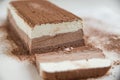 Home made semifreddo ice cream Royalty Free Stock Photo