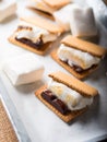Home made smore marshmallow treat for kids