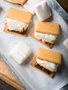 Home made smore marshmallow treat for kids